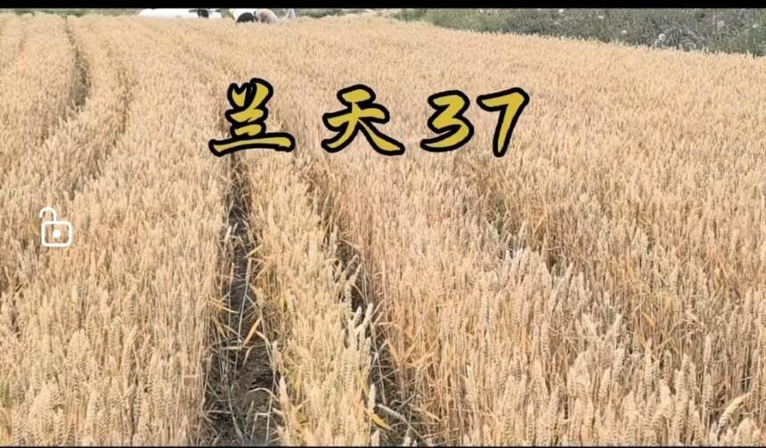 ΢��ͼƬ_20250628100310.jpg