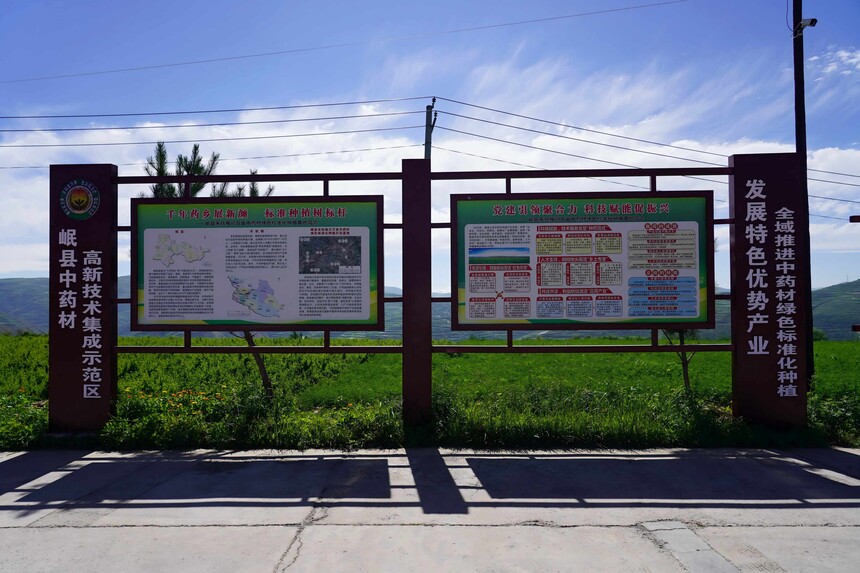 DSC04192(1).jpg