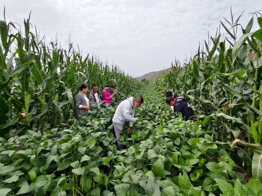 ΢��ͼƬ_20250909084801_151_3.jpg