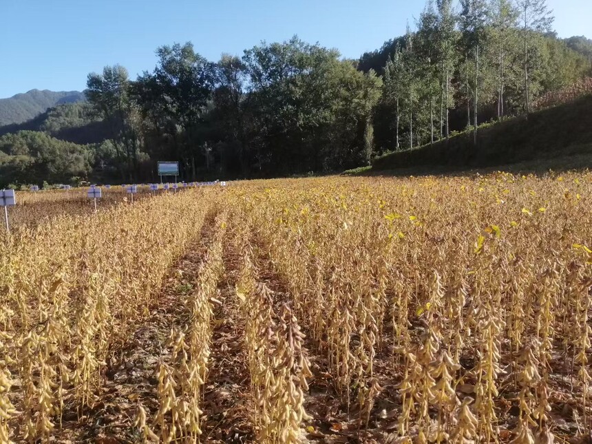 1761641474753858.jpg 微信图片_20251018160417_422_9.jpg