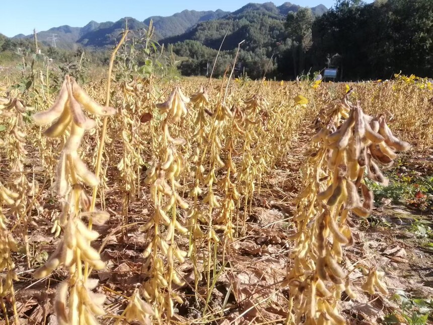 1761641506402626.jpg 微信图片_20251018160418_423_9.jpg