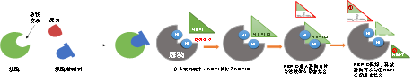 1762131466732530.png 微信图片_2025-11-03_085320_283.png