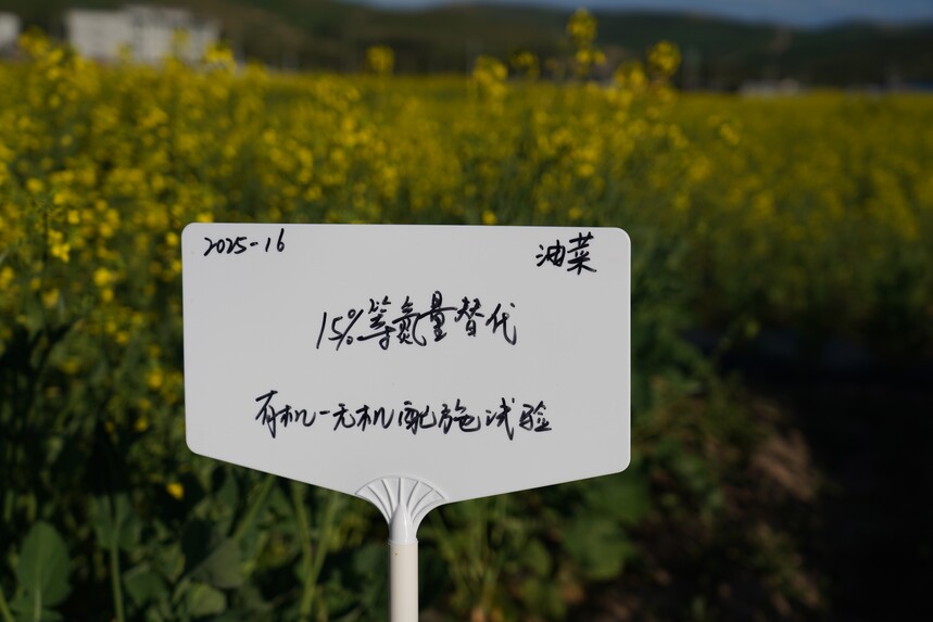 DSC02429.JPG