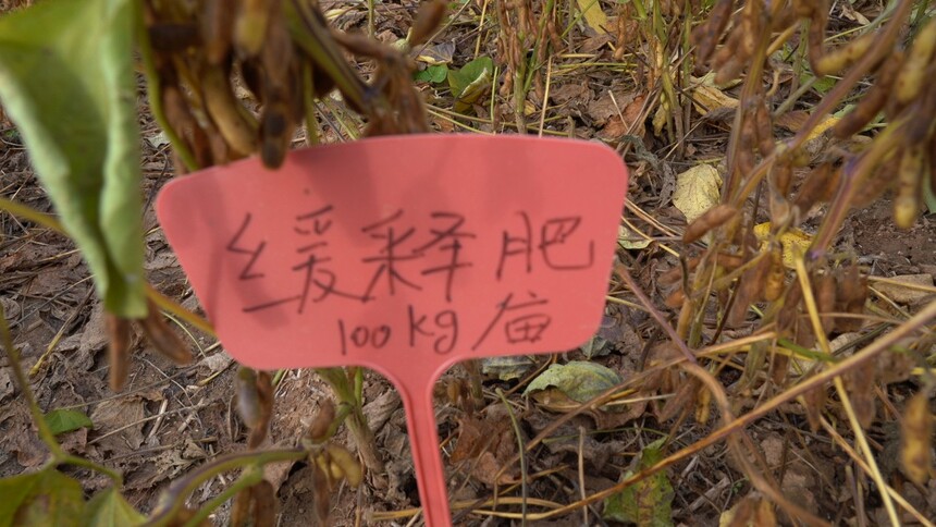 C0153T01.JPG