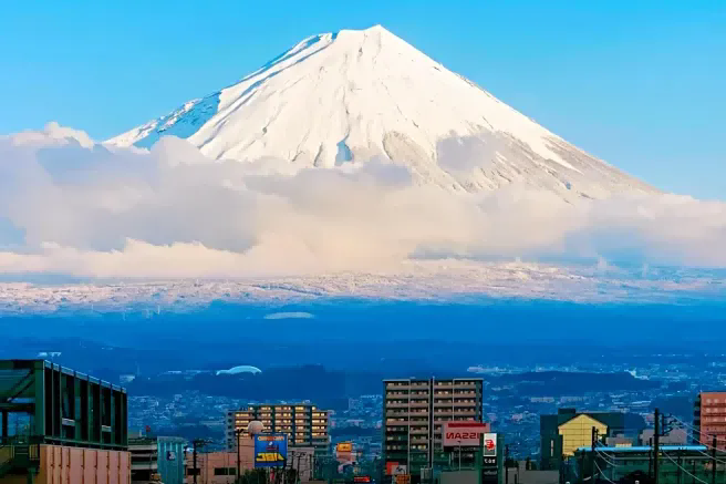 1730182333292819.png 1cccb0896c31f0fea2958f0376797e91-sz_603320.webp(1).png