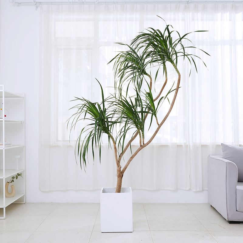 1672107744422016.jpeg 91855e66c8c46374d805faf6d11459f3.jpeg