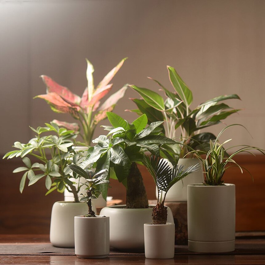 1672107903547267.jpeg b015699a0831daff54d9ec0c4f5f4b58.jpeg