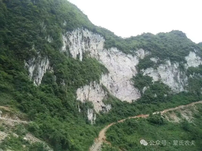 1754691682423025.jpg 村1.jpg