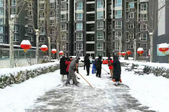 蘭汀物業(yè)丨除雪護航 守護萬家