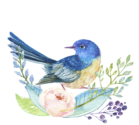 ͼ_401811276_banner_ֻˮԪأҵã.png