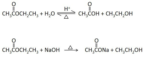 1672384436967167.jpg 00000.jpg