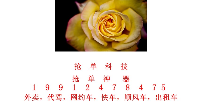 1704212492222530.jpg
