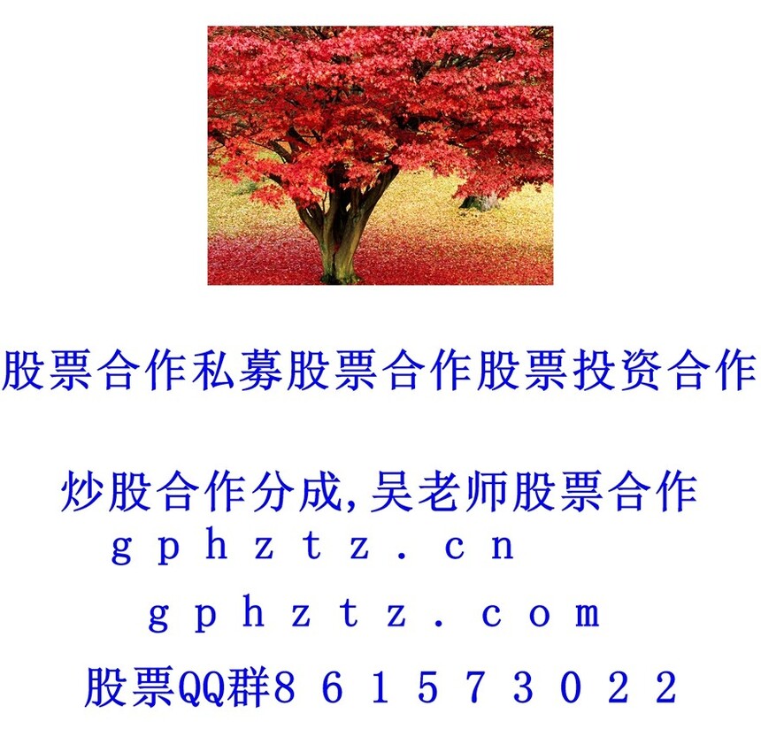 1752025929331365.jpg 1 (136).jpg