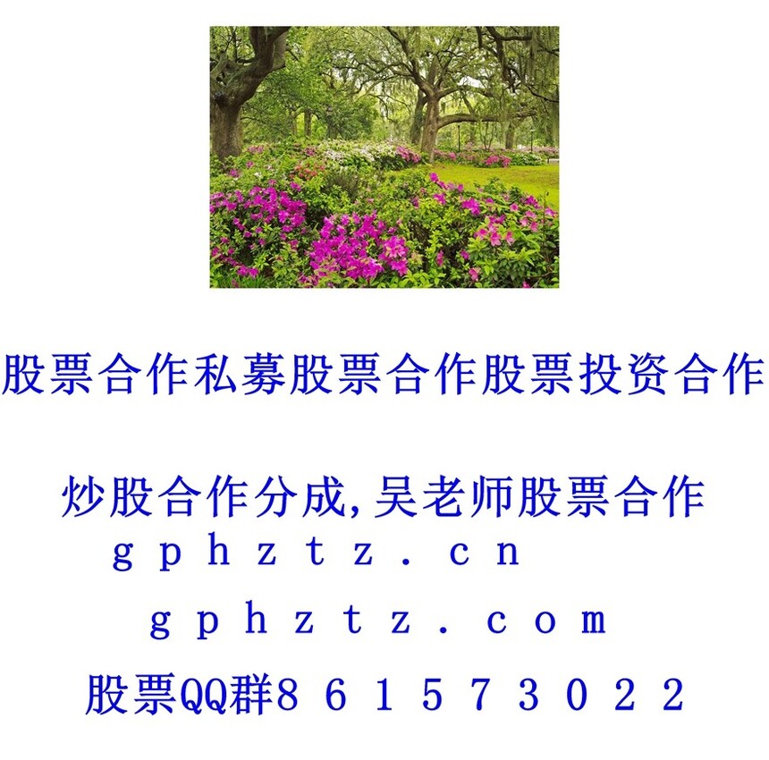 1752195027789051.jpg 1 (72).jpg