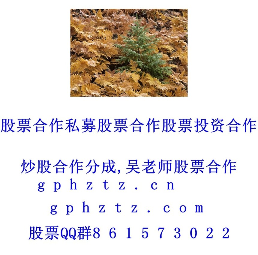 1752371040831297.jpg 1 (9).jpg