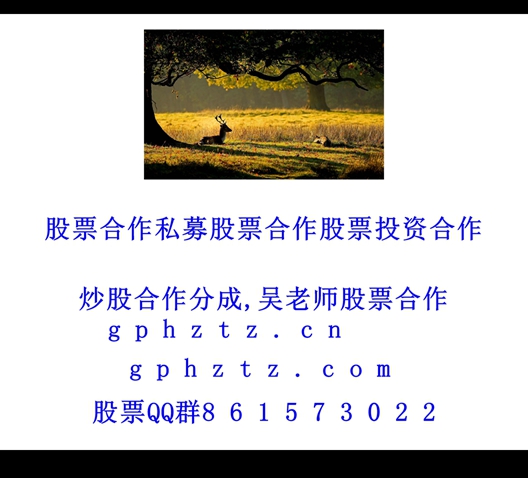 1752840345576391.jpg 1 (43).jpg