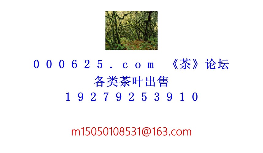 1754190088662536.jpg 1 (7).jpg