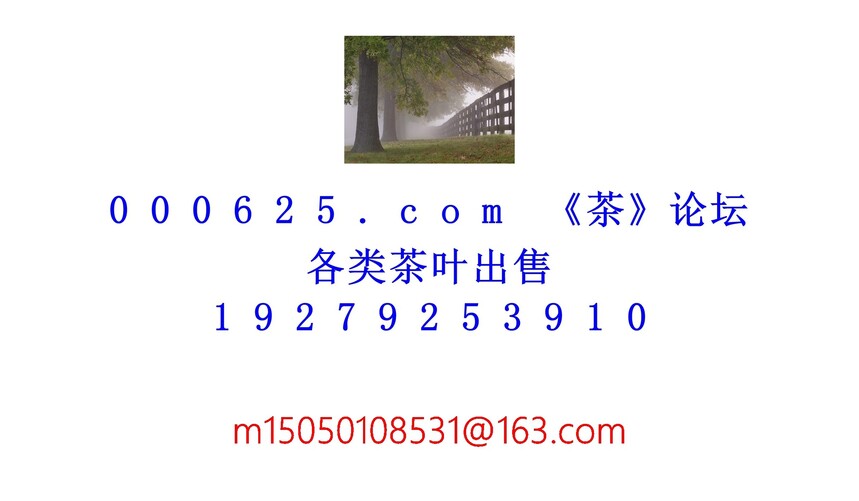 1754193236869213.jpg 1 (41).jpg