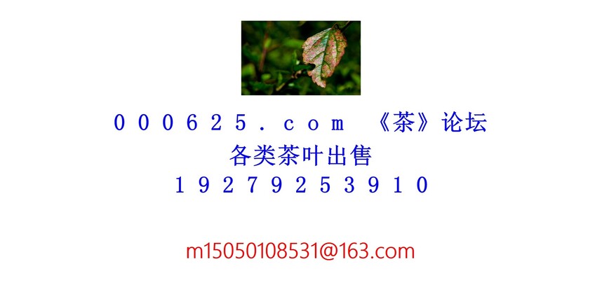 1754194838716757.jpg 1 (64).jpg