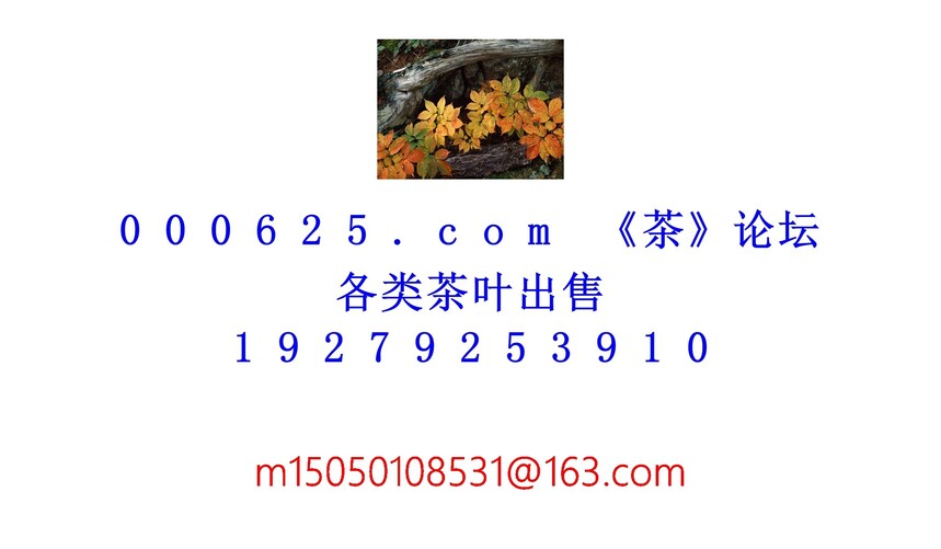 1754195020685717.jpg 1 (78).jpg