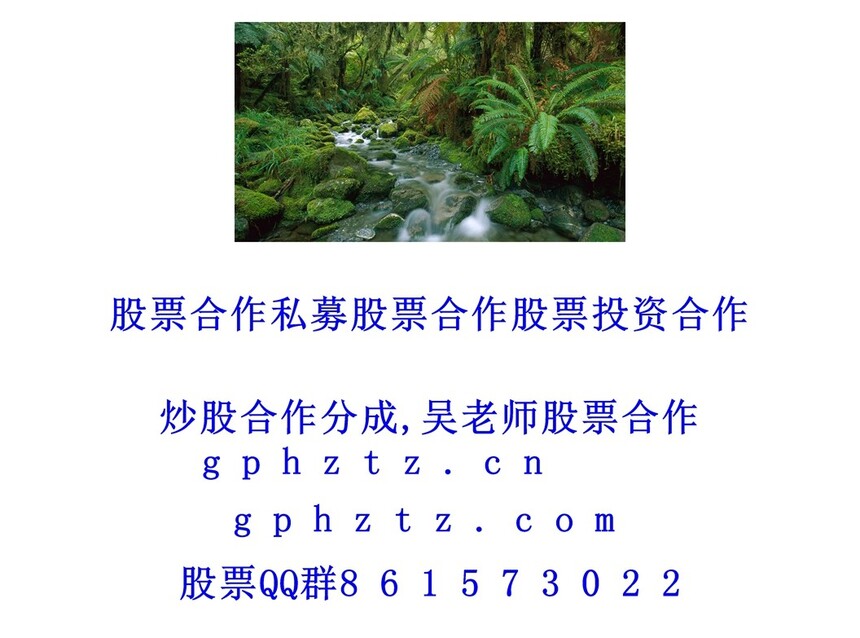 1769895978510019.jpg 1 (162).jpg