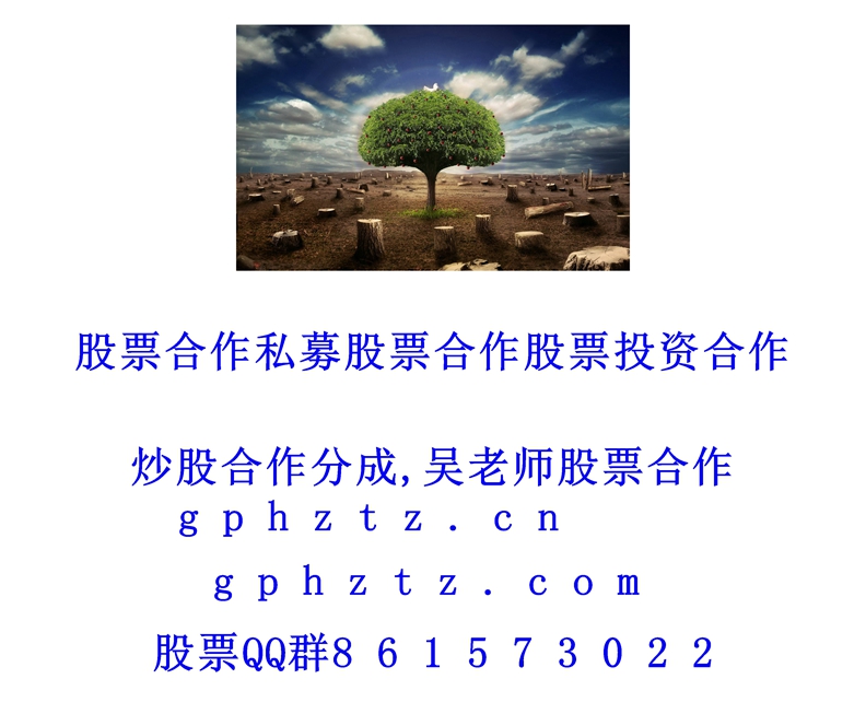 �����ֽ (562).jpg