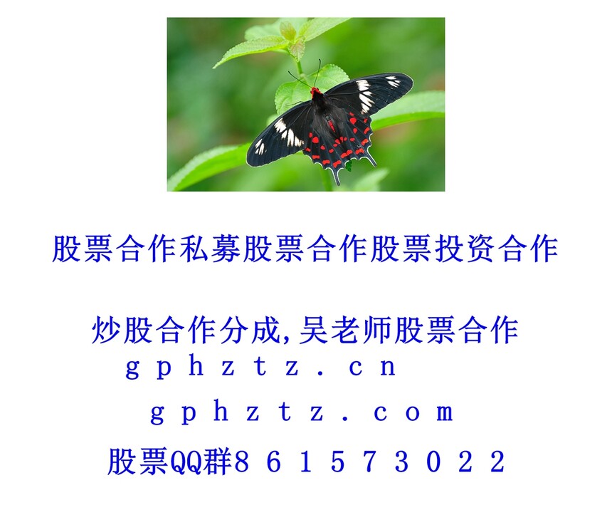 �����ֽ (40).jpg