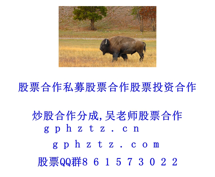 �����ֽ (716).jpg