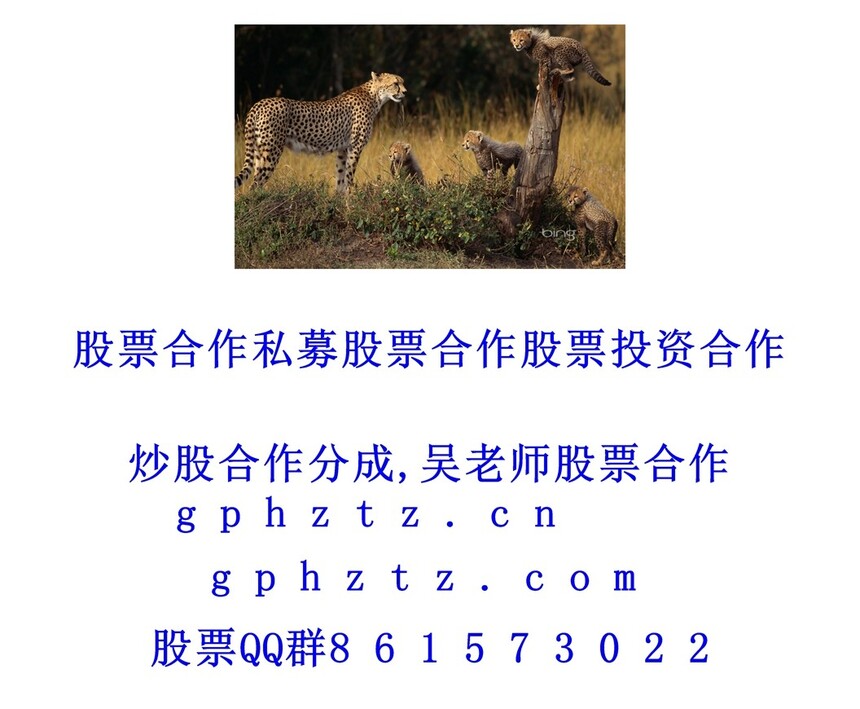 �����ֽ (1235).jpg