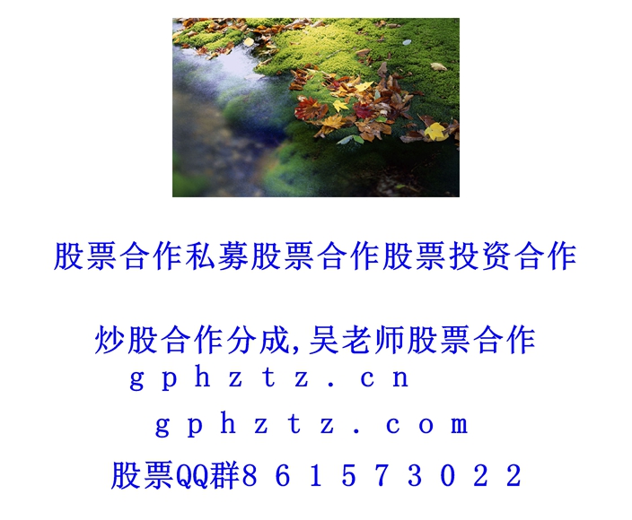 1769948656758866.jpg ¸ßÇå±ÚÖ½ (397).jpg