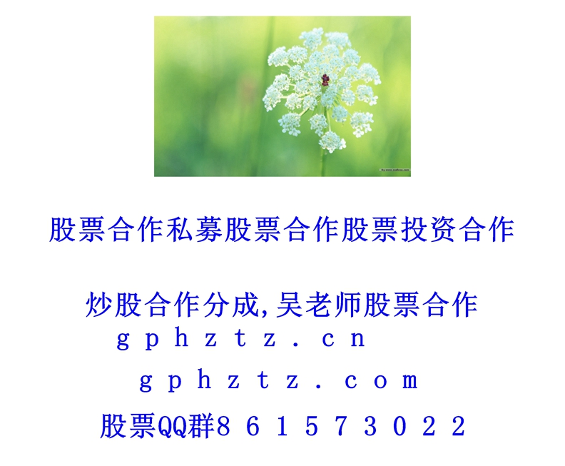 �����ֽ (944).jpg