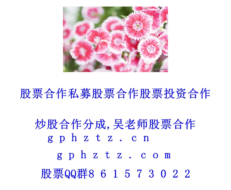 �����ֽ (880).jpg