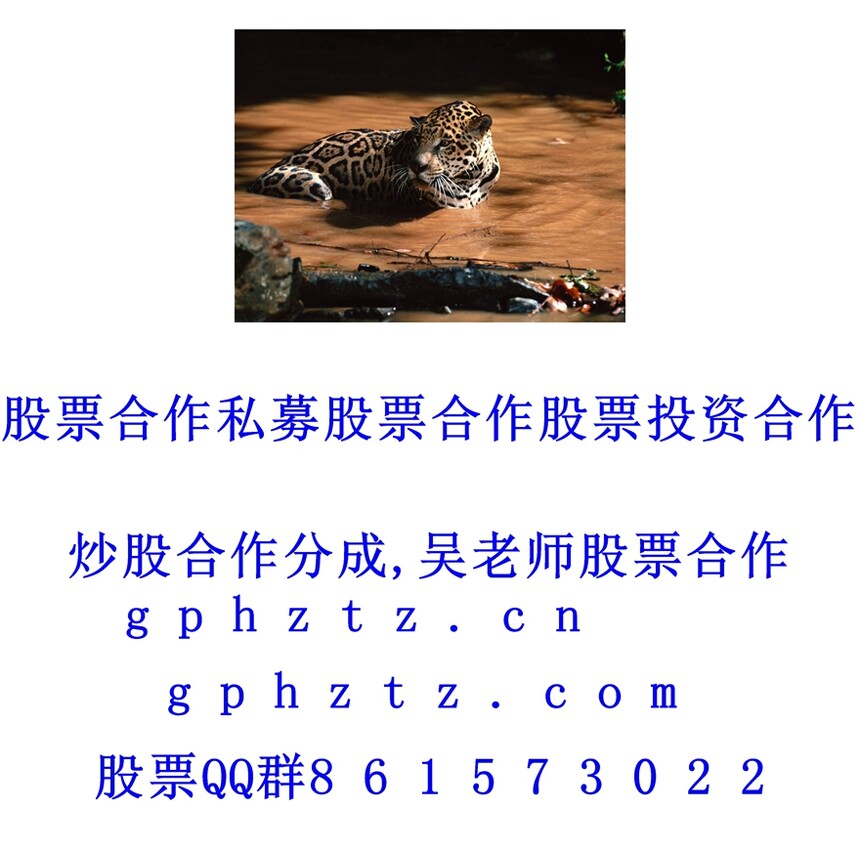 1769953276431318.jpg ¸ßÇå±ÚÖ½ (633).jpg