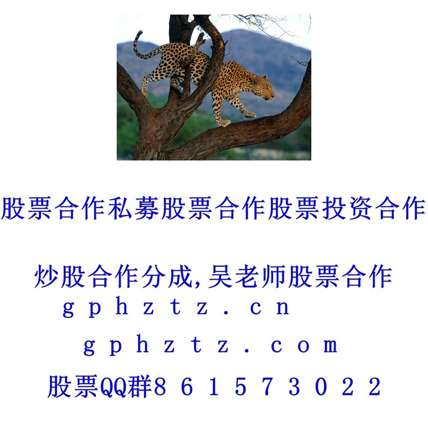 �����ֽ (417).jpg