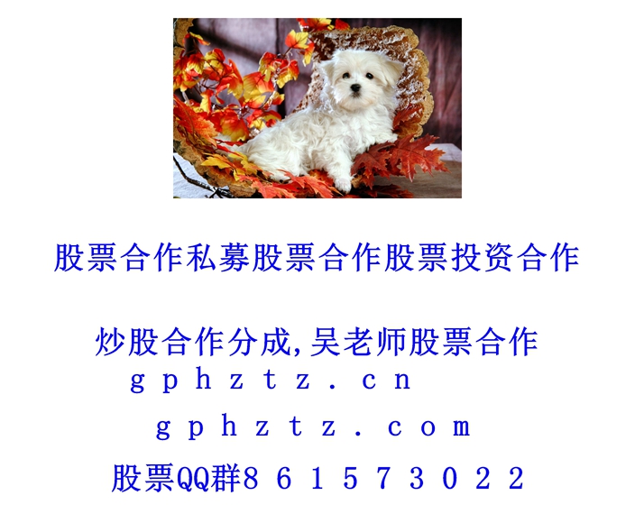 �����ֽ (840).jpg