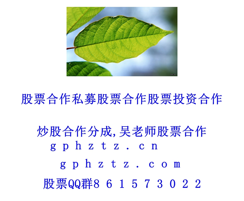 1769955018739316.jpg ¸ßÇå±ÚÖ½ (839).jpg