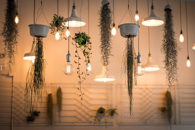 lights-1867437_640.jpg