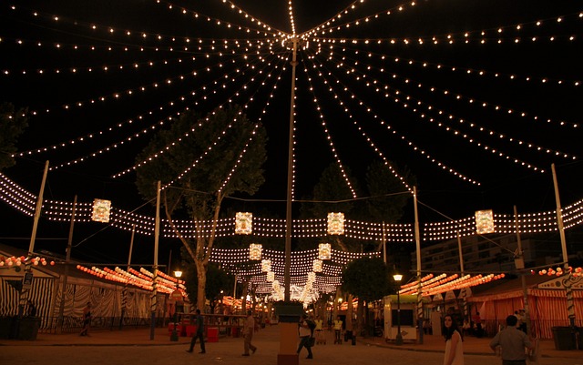 light-garland-346849_640.jpg