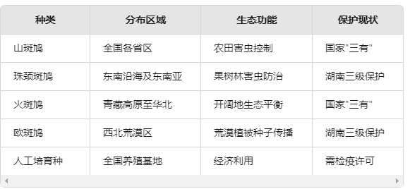 QQͼƬ20250429160157.png