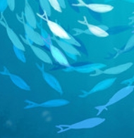 ΢Žͼ_20250509223839.png