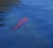 ΢Žͼ_20250510163612.png