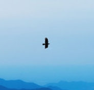΢Žͼ_20250522193418.png