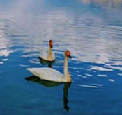 ΢Žͼ_20250515213150.png