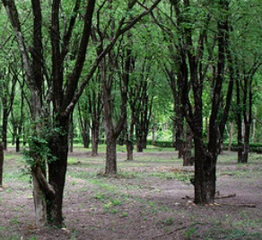 ΢Žͼ_20250602213921.png