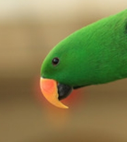 ΢Žͼ_20250709231342.png