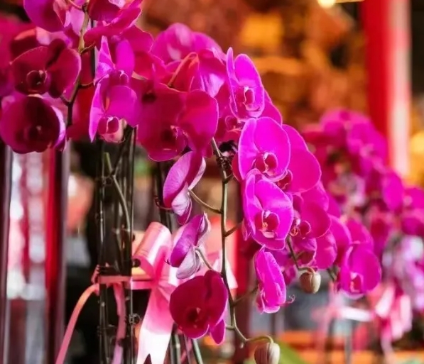 1773012143495621.png 微信截图_20260308220443.png