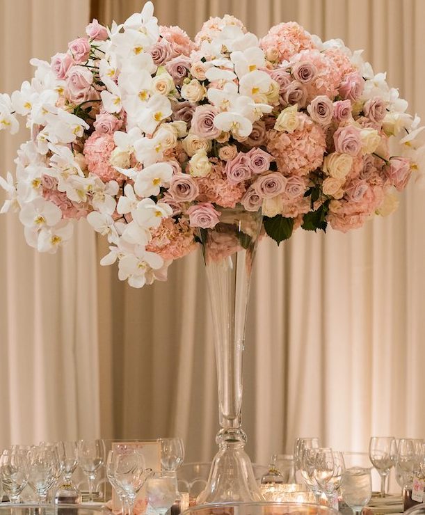 1674181240980737.jpeg 1674181240980737.jpeg