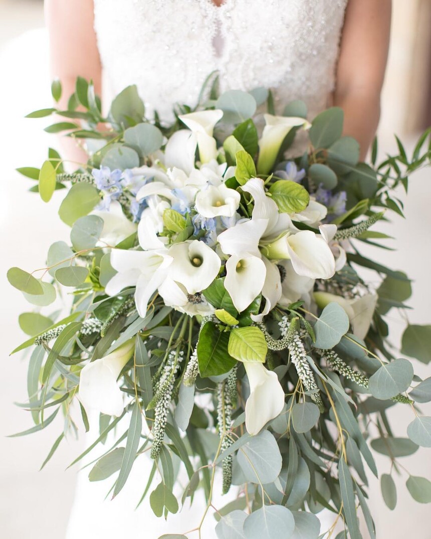 1675536028282037.jpg 1675536028282037.jpg