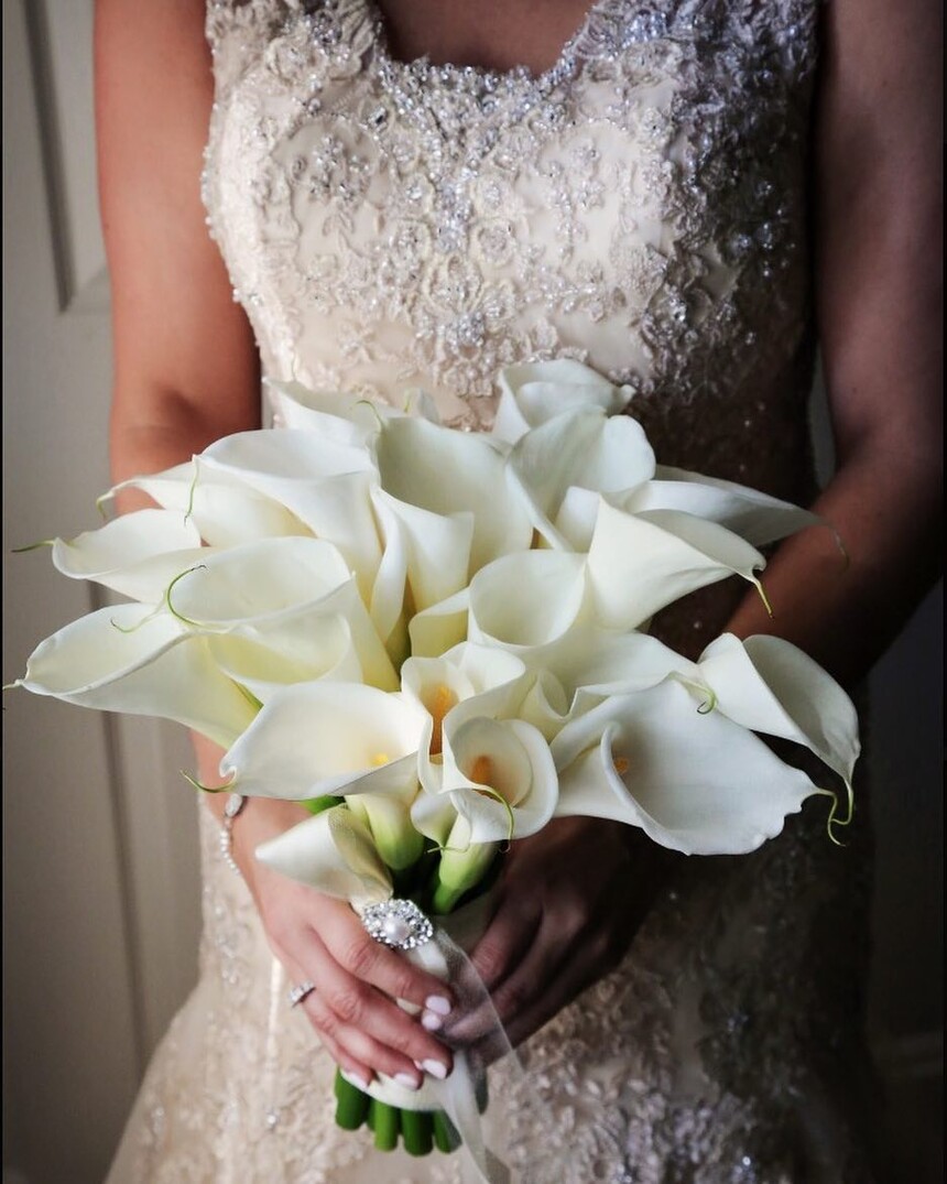 1675536029311060.jpg 1675536029311060.jpg