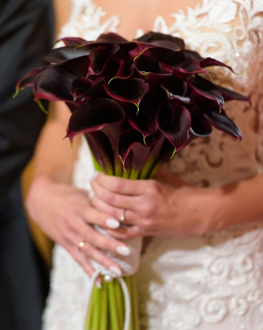 1675536030682836.jpg 1675536030682836.jpg